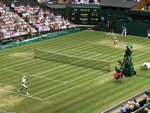 What happens inside a tennis player’s brain as they try to return a 148mph serve?