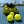OCOC Outdoor Pickleballs – 25 Ball Set with Mesh Bag