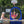 Pop-Up Targets